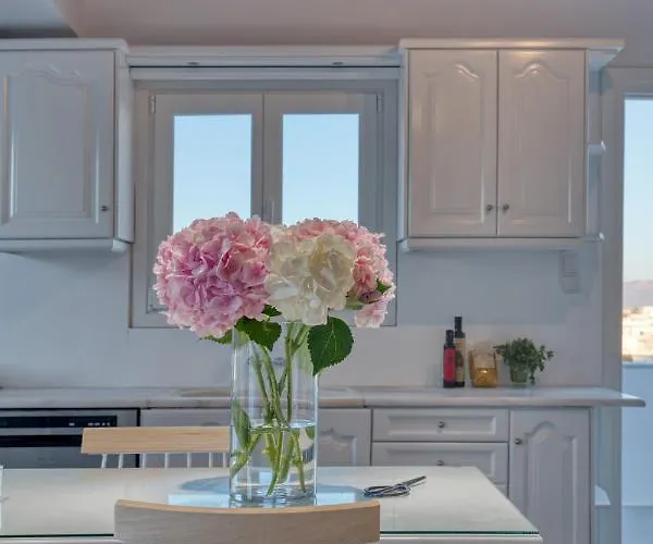 White Cliff Apartment Naousa (Paros)